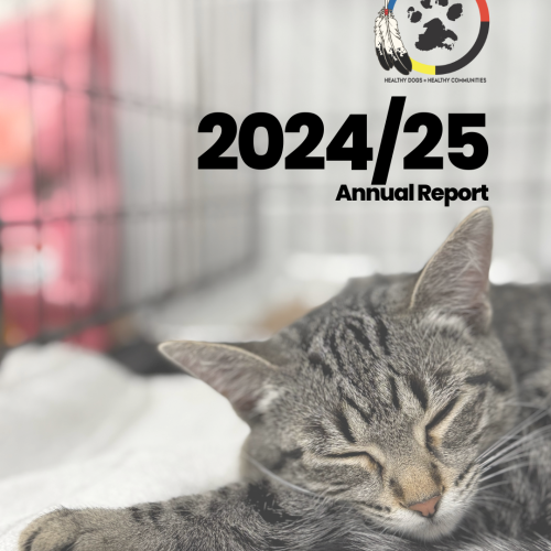 202425 CAP Annual Report (Instagram Post (45))